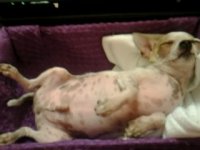 05.09.149.jpg
