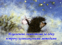 lena201208-cart-1.fw.png