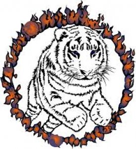 tigr.jpg